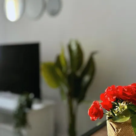 Cosy Palm Beach, Pres De La Et De La Croisette Apartment