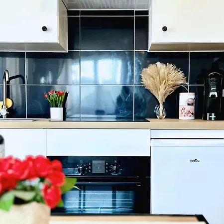 Appartement Croisette Palm Cannes