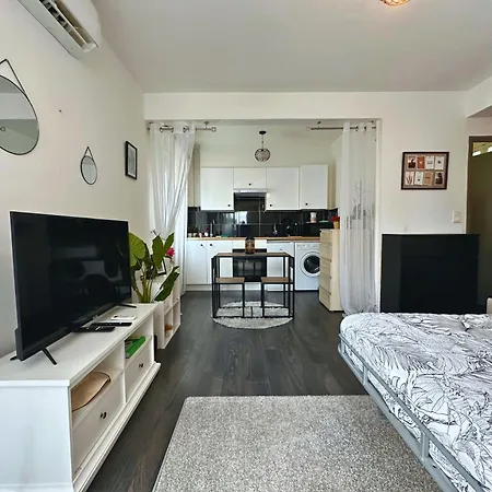 Apartment Cosy Palm Beach, Pres De La Et De La Croisette Cannes